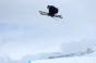 , Winter X-Games Slopestyle practice 2011 - Courchevel Enquirer